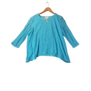 Alfred Dunner PM Petite Blue Sequin Knit Pullover Blouse Lined 3/4 Sleeve Top